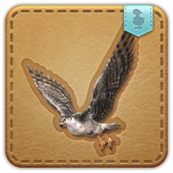 FFXIV: Begleiter - Quests & Sonstiges · Crystal Universe