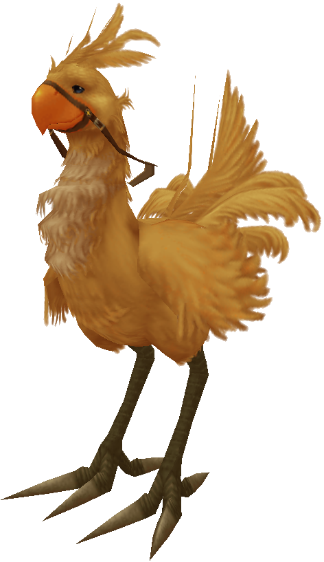 FFX Chocobo Training Crystal Universe   FFX Chocobo6 